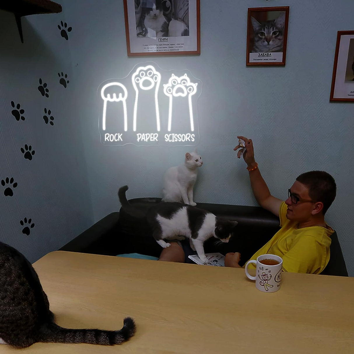 Rock Paper Scissors LED Light with Cool White Cat Paws, 11"x14" USB-Powered Acrylic Wall Art For Pet Hospital