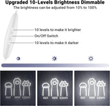 Rock Paper Scissors LED Light with Cool White Cat Paws, 11"x14" USB-Powered Acrylic Wall Art For Pet Hospital