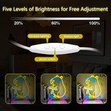 Cool Capybara Neon Sign, Dimmable Cute Animal with Shades on a Scooter, Lemon